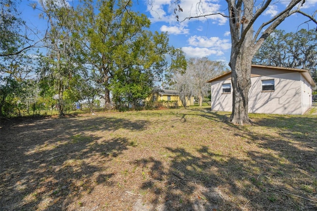 view of yard