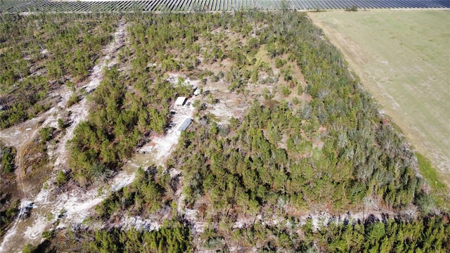 SE Hammerly St, Madison FL, 32340 land for sale