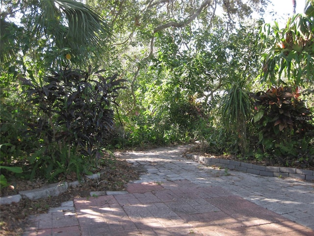 exterior space featuring a patio