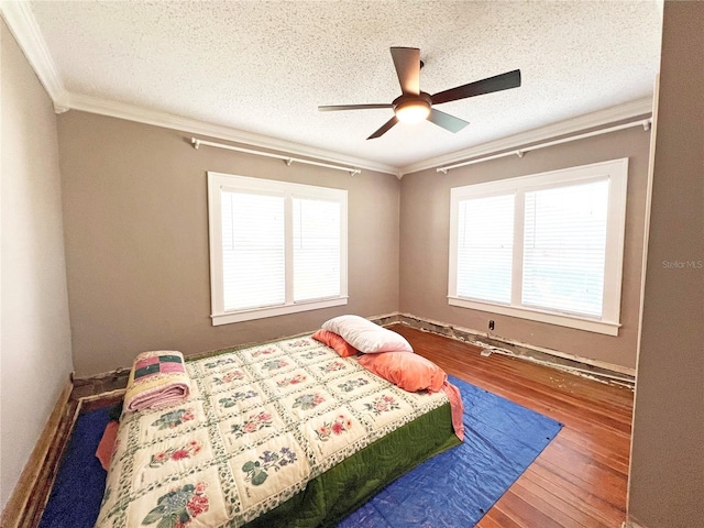 14124 Plum Ln, Hudson, FL 34667 - bedroom with wood finished floors, ornamental molding, multiple windows, a textured ceiling, and ceiling fan