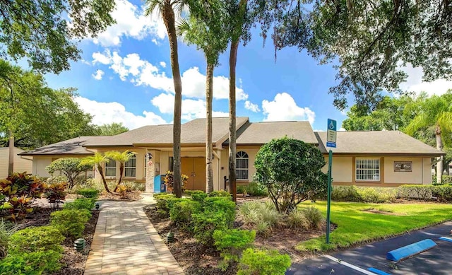 ranch-style home featuring a front yard