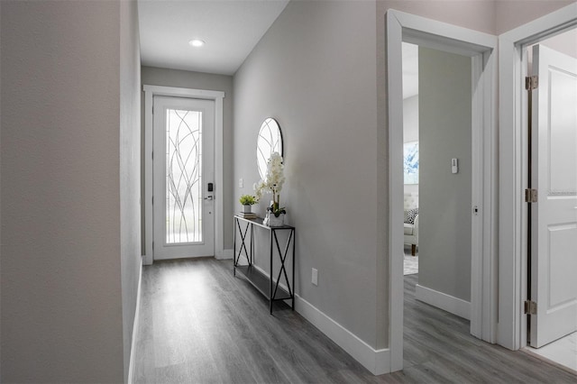 foyer featuring dark hardwood / wood-style floors