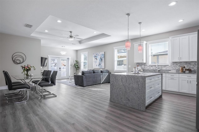 kitchen with dark hardwood / wood-style floors, a raised ceiling, a kitchen island, pendant lighting, and white cabinets