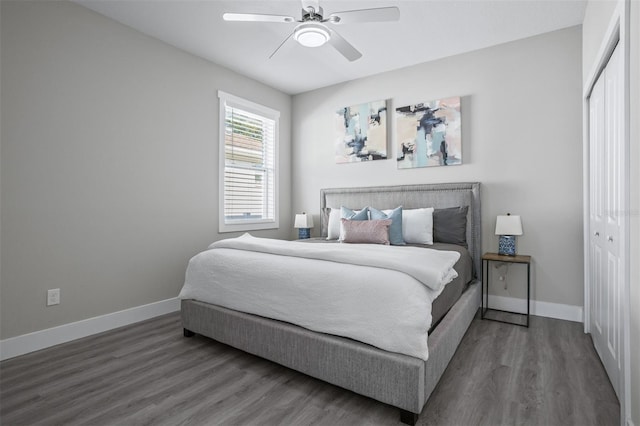 bedroom with ceiling fan, dark hardwood / wood-style flooring, and a closet