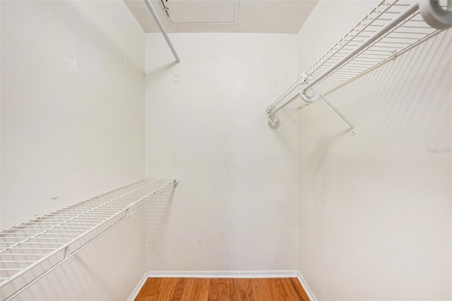 spacious closet with wood-type flooring