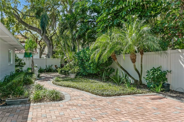 view of yard featuring a patio and a fenced backyard