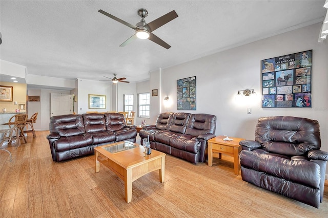 living room with a textured ceiling, crown molding, a ceiling fan, and light wood-style floors