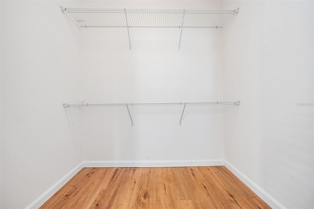 spacious closet with hardwood / wood-style floors