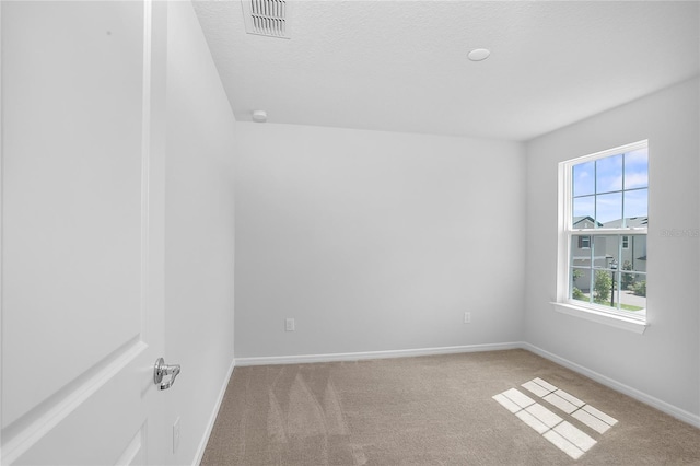 10822 Windswept Garden Way, Tampa, FL 33647 - photo 12