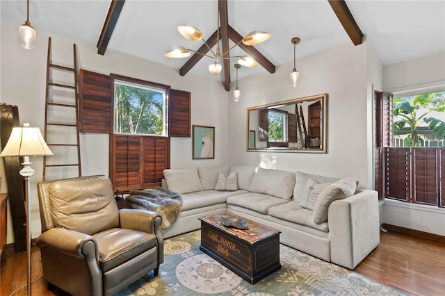 living room featuring an inviting chandelier, hardwood / wood-style floors, beam ceiling, and plenty of natural light