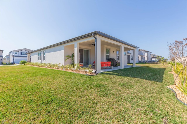 back of house featuring a patio area, ceiling fan, and a lawn