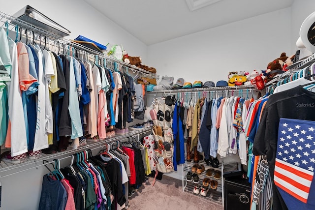 walk in closet with carpet flooring