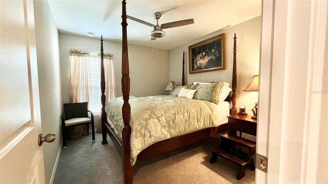 10854 Sage Canyon Dr, Riverview, FL 33578 - carpeted bedroom featuring ceiling fan