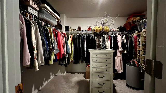 10854 Sage Canyon Dr, Riverview, FL 33578 - spacious closet featuring carpet floors