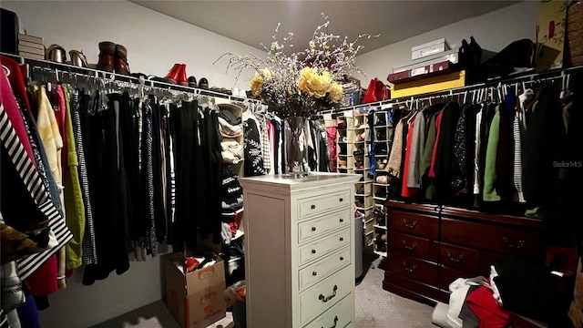 10854 Sage Canyon Dr, Riverview, FL 33578 - walk in closet featuring carpet floors