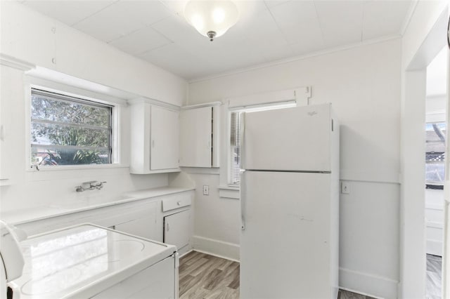 kitchen with sink, light hardwood / wood-style flooring, ornamental molding, white cabinets, and white fridge