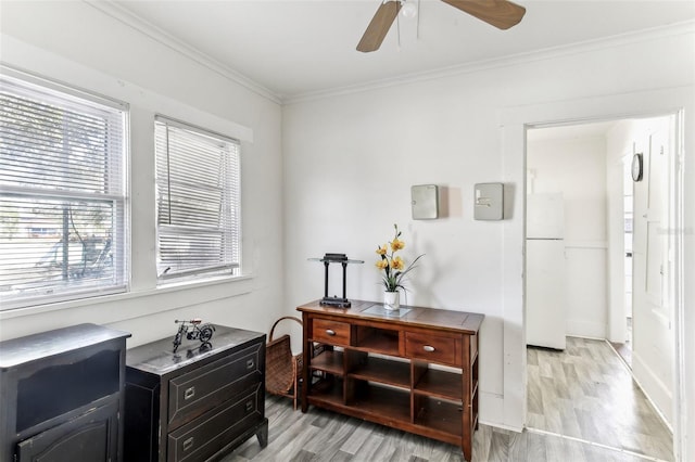 interior space featuring crown molding, ceiling fan, and light wood-type flooring