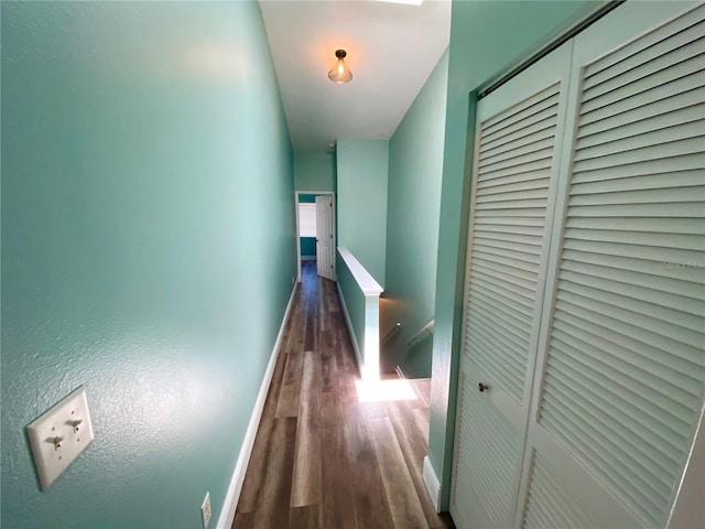 corridor featuring dark hardwood / wood-style flooring