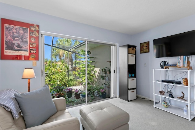 living area with carpet floors