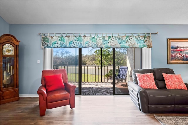 living room with hardwood / wood-style floors