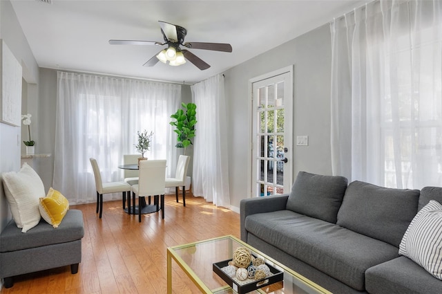 living room featuring ceiling fan, wood-type flooring, and a healthy amount of sunlight