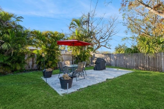 view of yard featuring a patio area