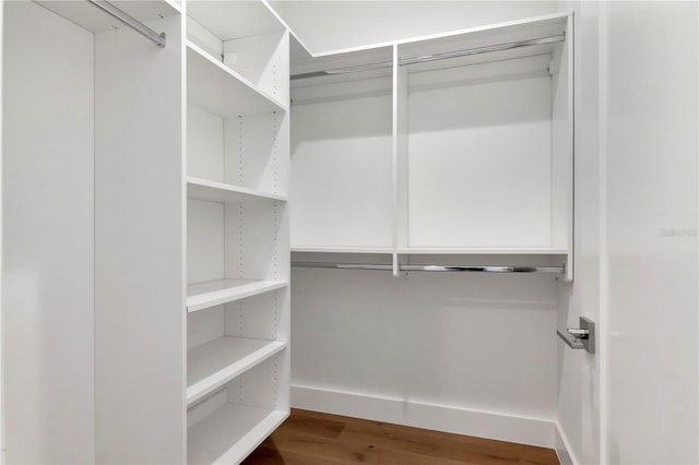 spacious closet with wood-type flooring