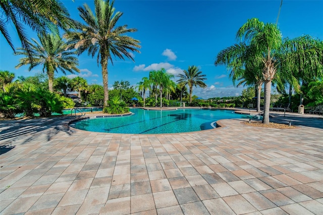 view of swimming pool featuring a patio