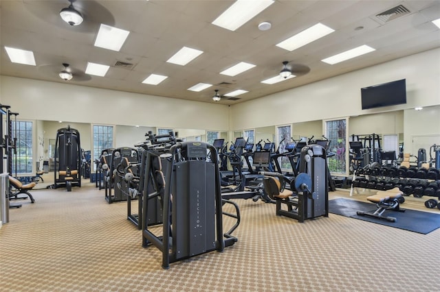 gym featuring a high ceiling, carpet, a drop ceiling, and ceiling fan