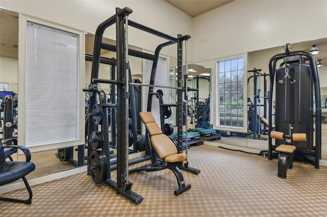 gym featuring carpet