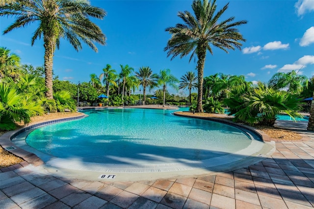 view of swimming pool