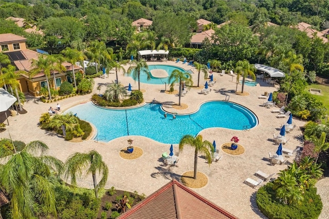 view of pool with a patio area