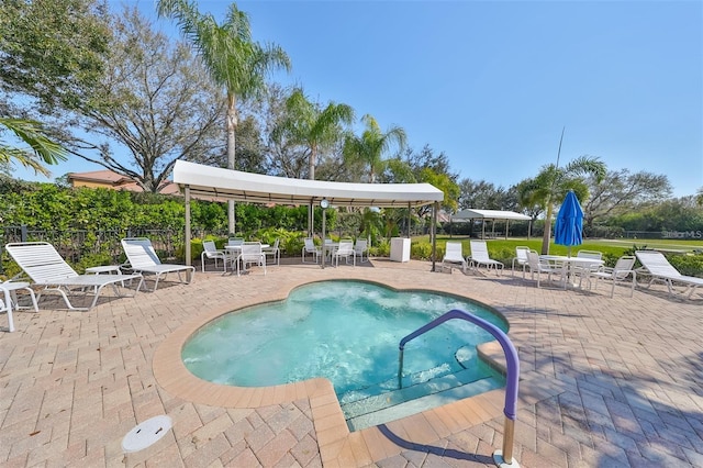 view of pool featuring a patio