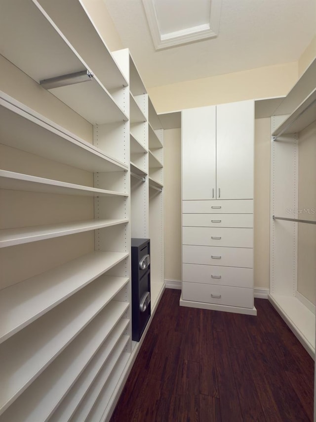 spacious closet with dark wood-type flooring