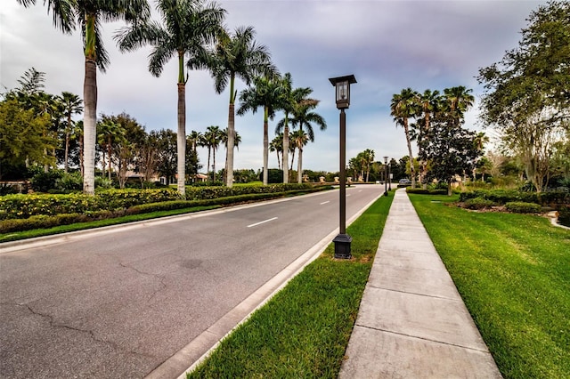 view of road featuring street lighting, curbs, and sidewalks