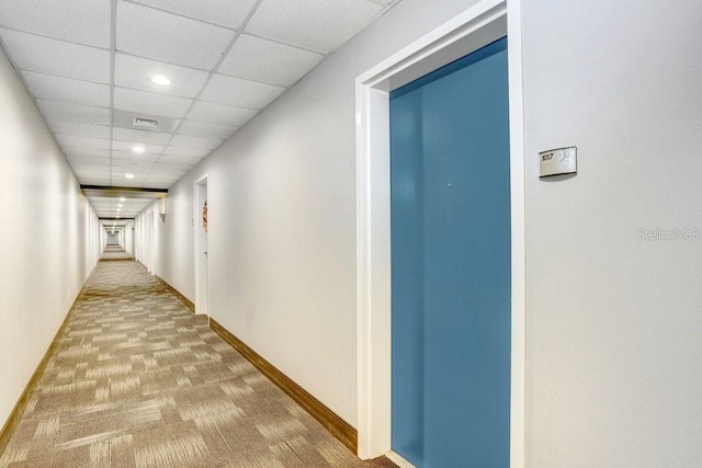 corridor with carpet and a paneled ceiling