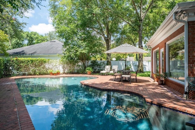 view of swimming pool with a patio