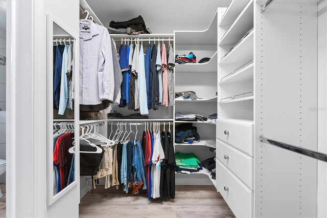 spacious closet with hardwood / wood-style flooring