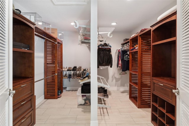 view of walk in closet