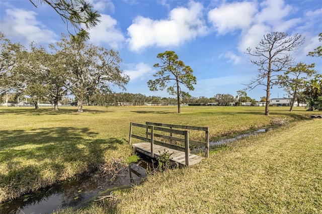 view of property's community with a yard