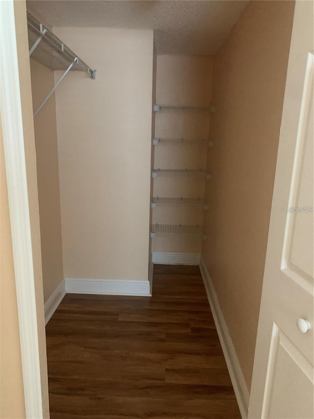 spacious closet featuring dark wood-type flooring