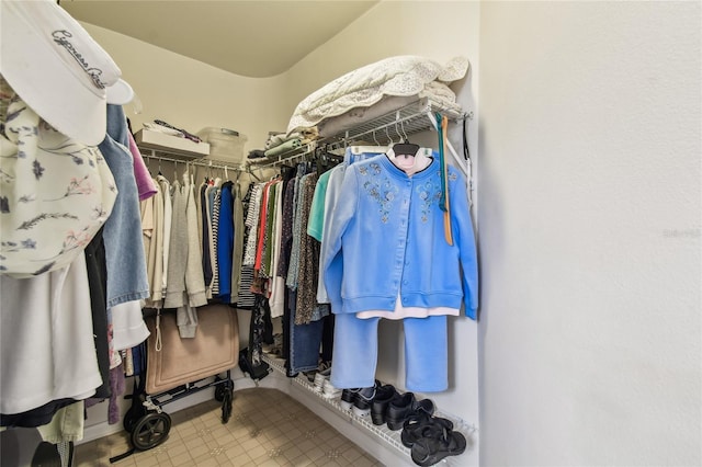 view of spacious closet