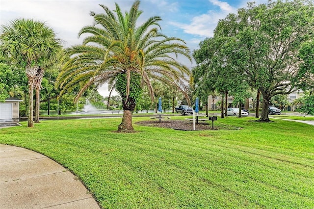 view of community with a lawn