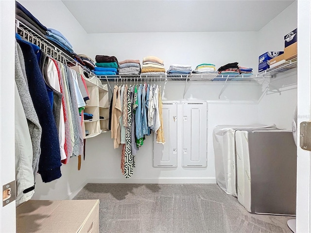 spacious closet featuring light colored carpet