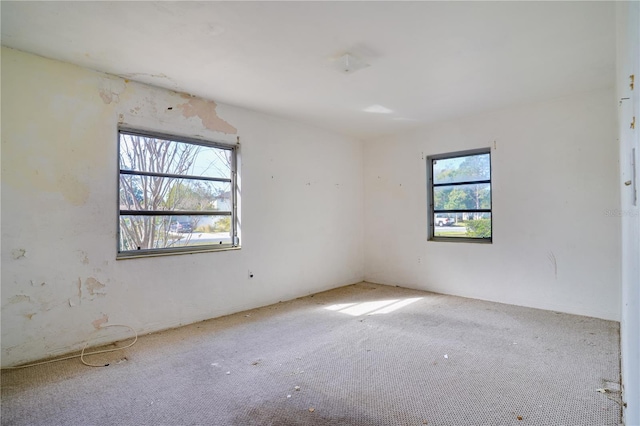 carpeted empty room with a wealth of natural light