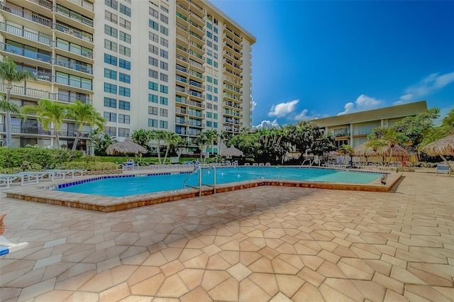 view of swimming pool with a patio