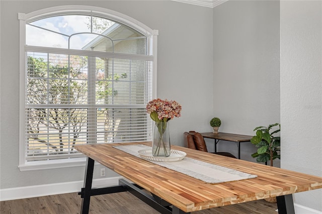 dining room featuring a healthy amount of sunlight and hardwood / wood-style floors