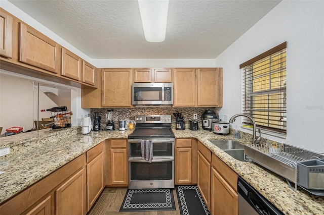 10944 Keys Gate Dr, Riverview, FL 33579 - kitchen with tasteful backsplash, appliances with stainless steel finishes, dark hardwood / wood-style flooring, kitchen peninsula, and light stone countertops