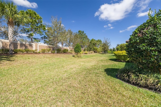 view of yard