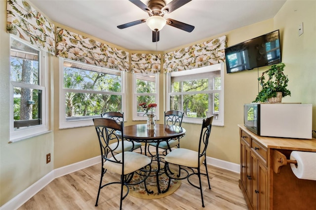 dining space with ceiling fan, plenty of natural light, and light wood-type flooring